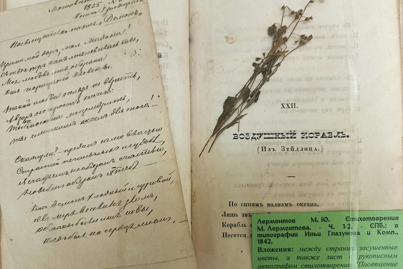 Вот такой подарок нашли библиотекари в книге.