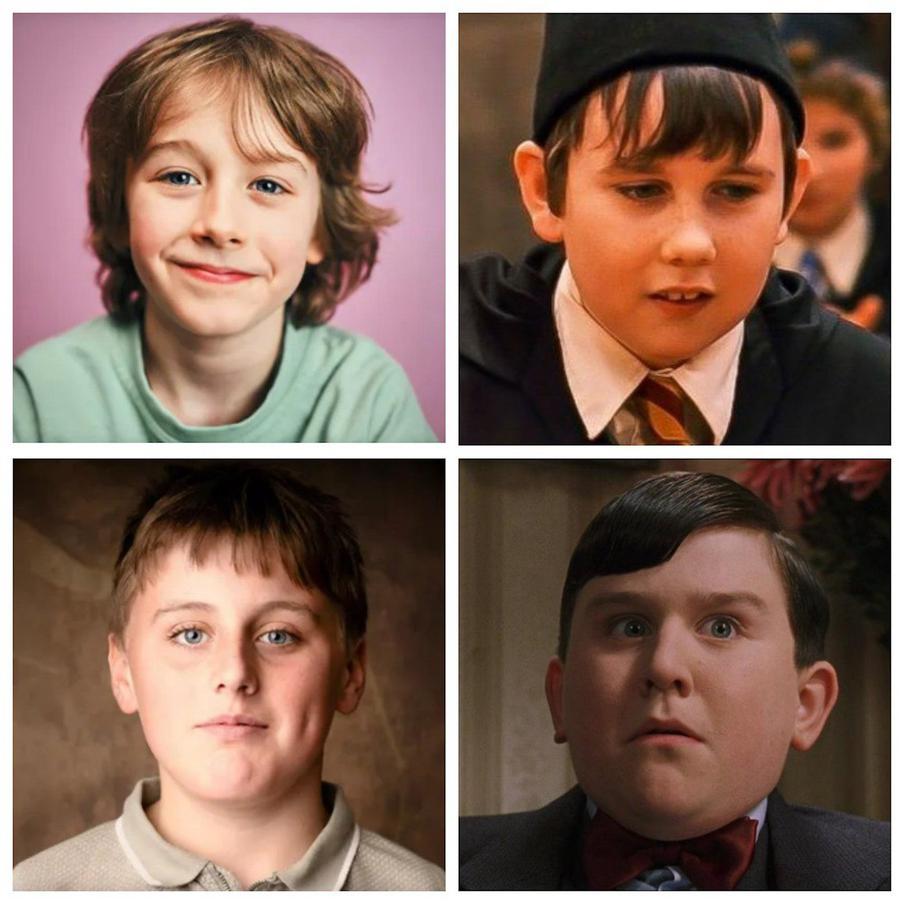 Рори Уилмот сыграет Невилла Долгопупса, а роль Дадли Дурсля досталась Амосу Китсону.