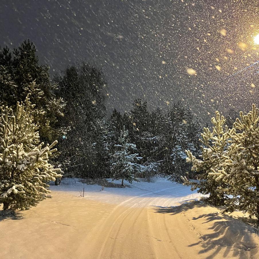 Москва обновила рекорды по снегу за сутки в конце января. Сильный снегопад принёс столице четверть месячной нормы осадков за один день и обновил рекорды на нескольких метеостанциях Москвы и области