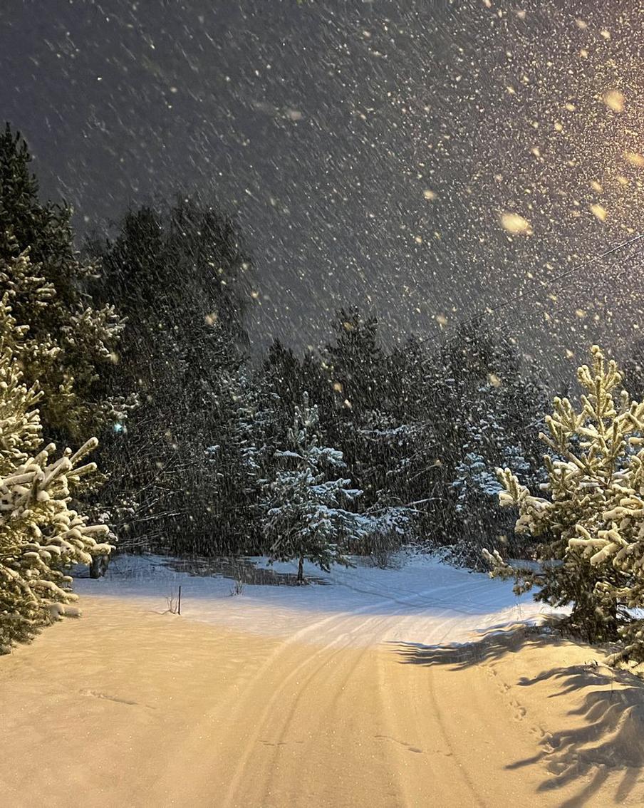 Сколько осадков выпало в Москве за два дня
