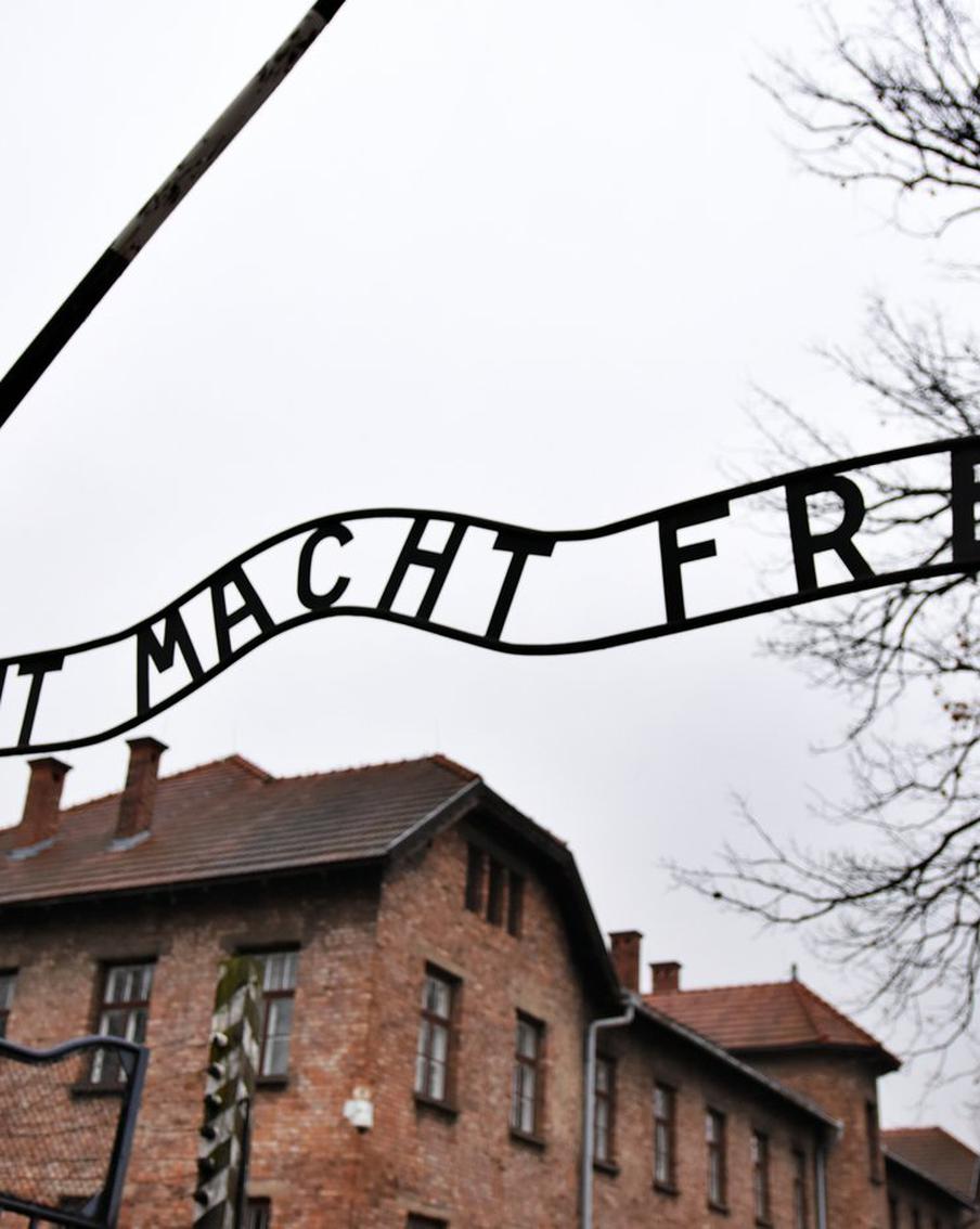 В Израиле отреагировали на слова президента Польши о Холокосте. Дмитрий Трапиров, лидер израильского антифашистского движения, отреагировал на слова президента Польши Кароля Навроцкого о возможной причастности СССР к Холокосту. Он назвал такие заявления оскорбительными для памяти жертв геноцида и советских солдат, освободивших Освенцим