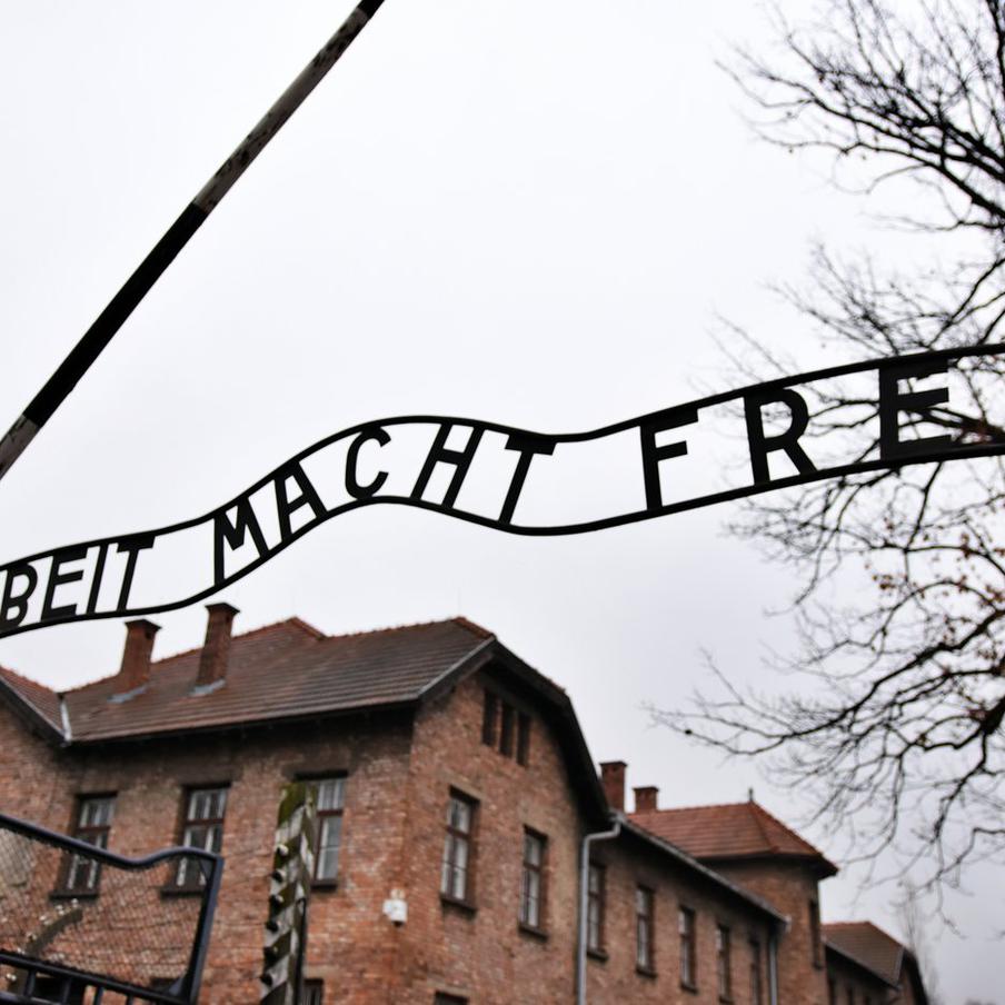 В Израиле отреагировали на слова президента Польши о Холокосте. Дмитрий Трапиров, лидер израильского антифашистского движения, отреагировал на слова президента Польши Кароля Навроцкого о возможной причастности СССР к Холокосту. Он назвал такие заявления оскорбительными для памяти жертв геноцида и советских солдат, освободивших Освенцим