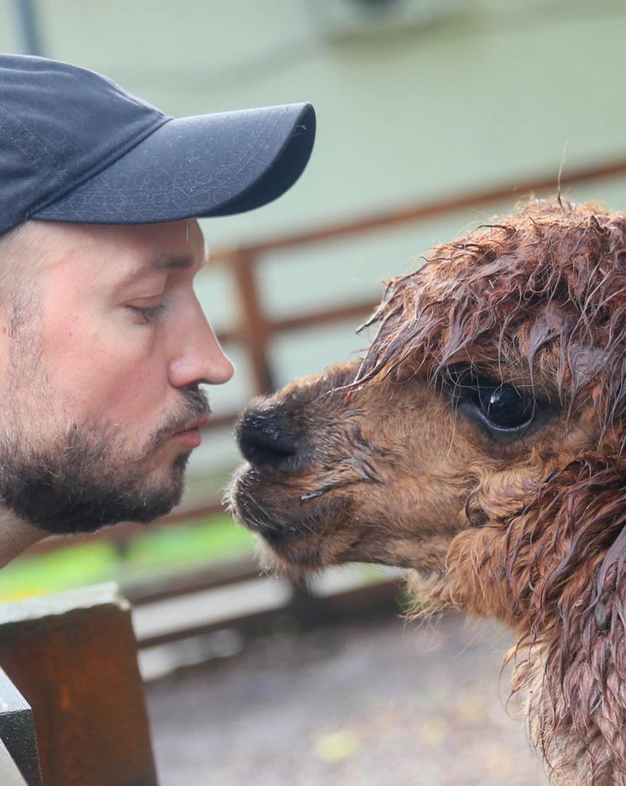 Смотрим на город по-новому, обнимаем альпак и мотивируем себя заняться спортом