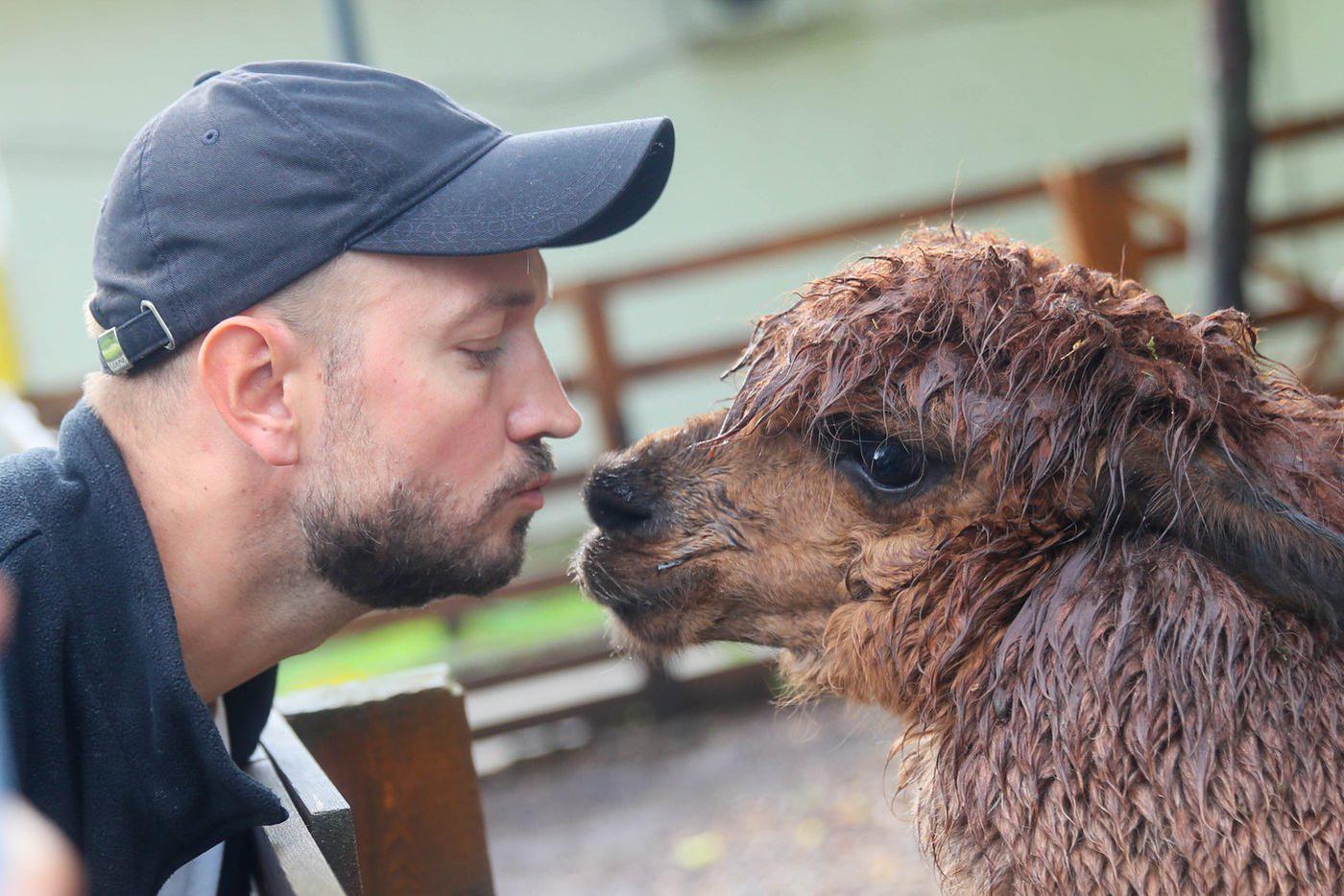 Смотрим на город по-новому, обнимаем альпак и мотивируем себя заняться спортом