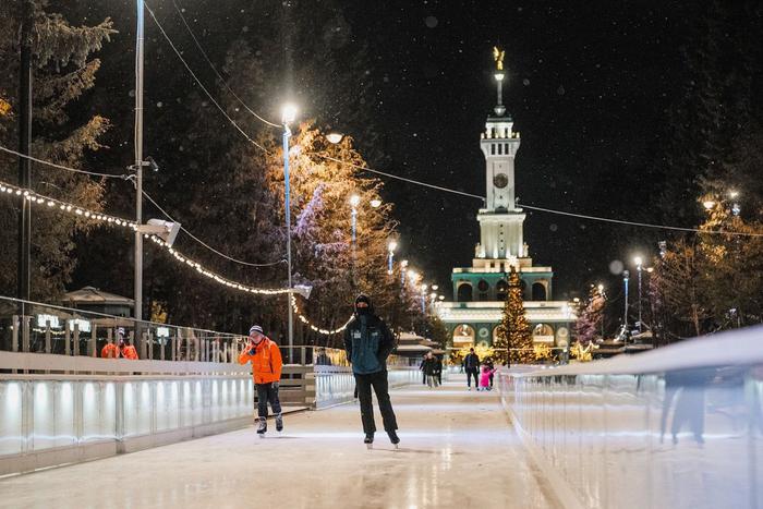 Афиша на 4 февраля: вспоминаем Ворошилова и углубляемся в тему "Лев Толстой и его лошадки"