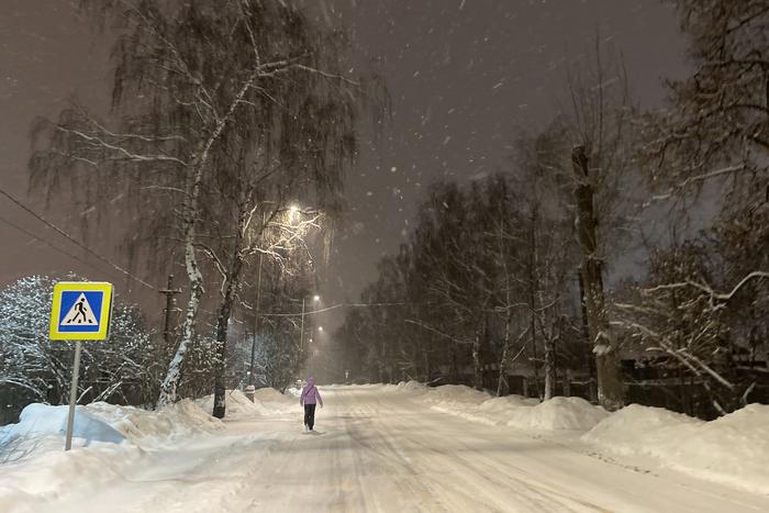 Леус: первая пятидневка февраля может стать в Москве самой холодной в XXI веке