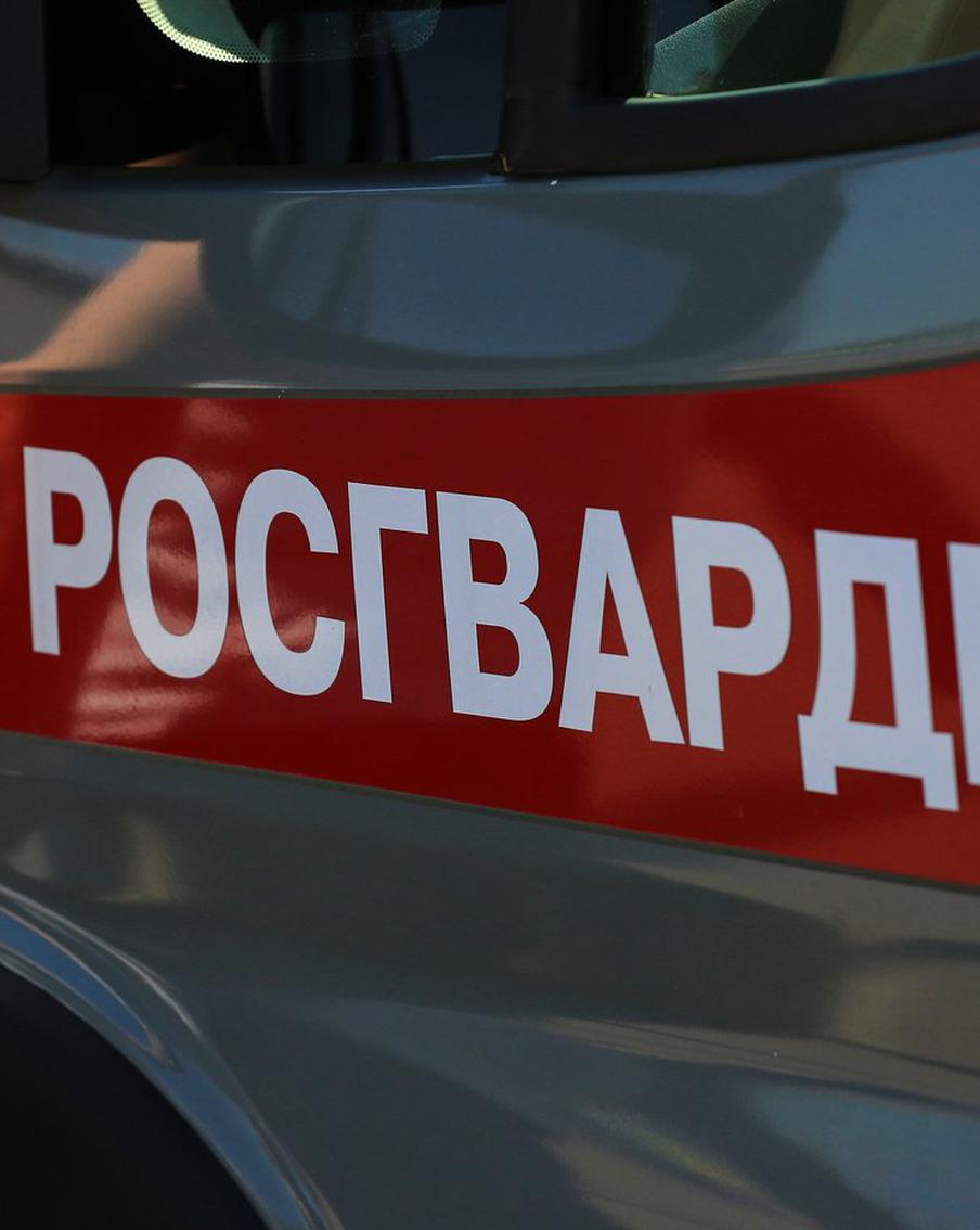 Росгвардейцы в Москве спасли замерзавшую серую цаплю. В Москве сотрудники Федеральной службы войск национальной гвардии Российской Федерации пришли на помощь маленькой серой цапле, оказавшейся в трудном положении из-за сильных морозов. Во время патрулирования территории одного из объектов, находящихся под охраной Росгвардии, офицеры вневедомственной охраны заметили птицу, застрявшую в глубоком сугробе