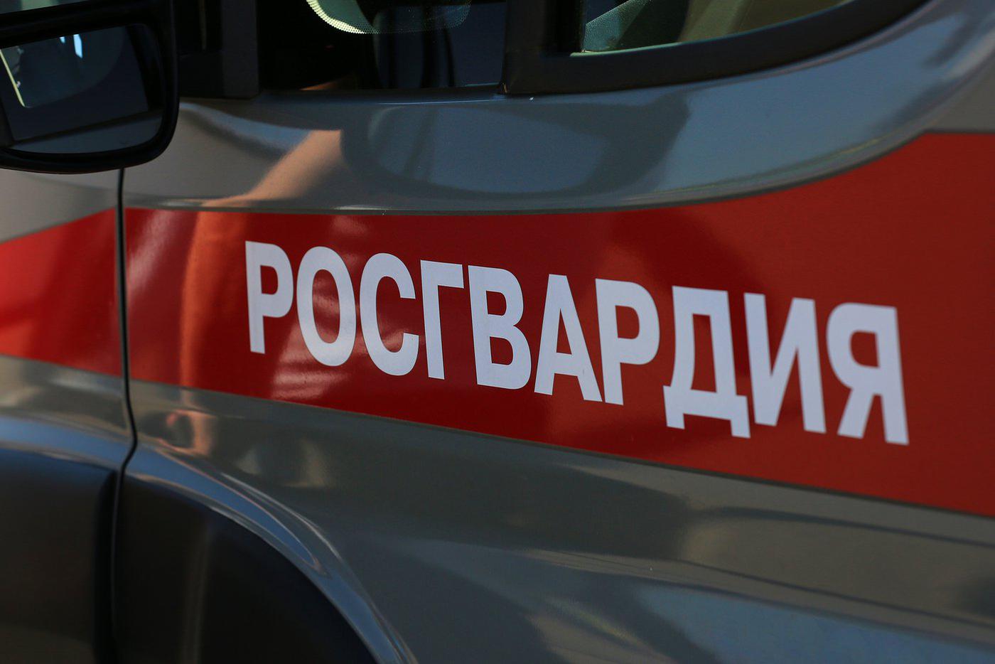 Росгвардейцы в Москве спасли замерзавшую серую цаплю