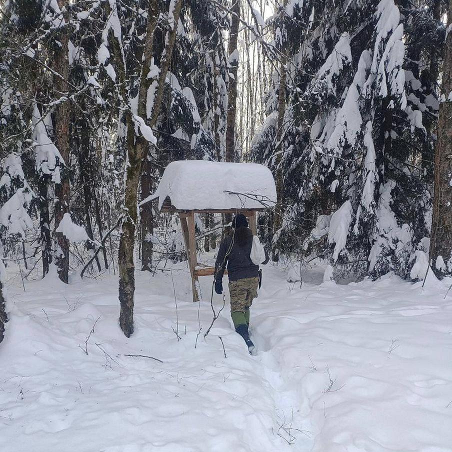 Специалисты Лосиного парка всегда проверяют кормушки своих подопечных и добавляют соль, когда она заканчиваетя. 