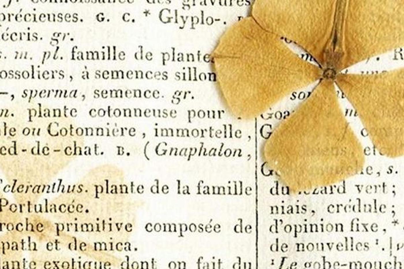 Порой в книгах буквально прячутся самые неожиданные находки 