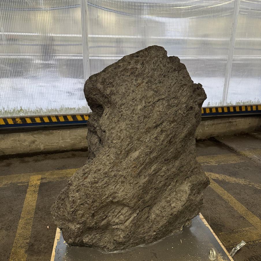 Контрабанду метеорита на сотни миллионов пресекли в порту Петербурга