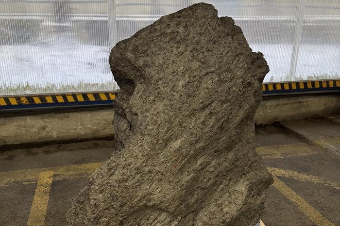 Из России в Британию собирались вывезти контрабандой осколок метеорита Алетай