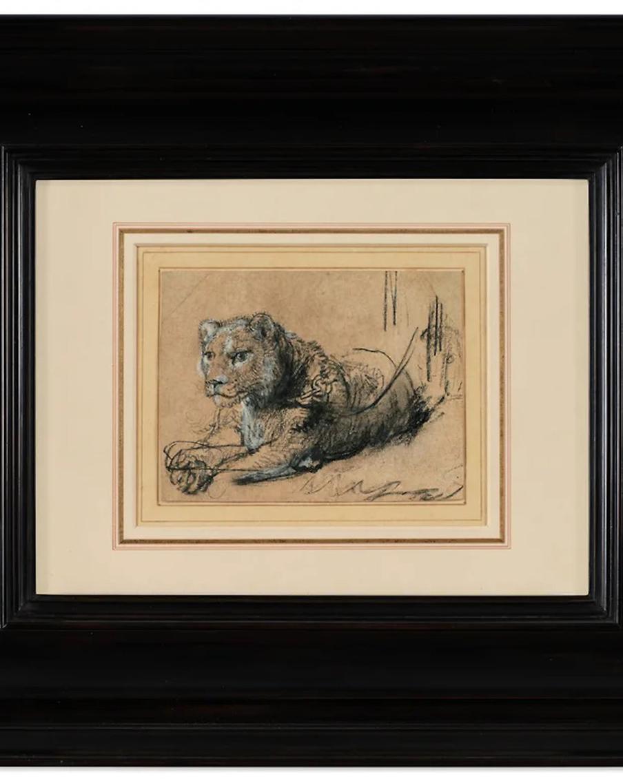 Рисунок Рембрандта с изображением льва продали на торгах за $17,9 млн. Один из редчайших графических листов Рембрандта ушёл с аукциона в Нью-Йорке, а вырученные средства направят на защиту исчезающих хищников
