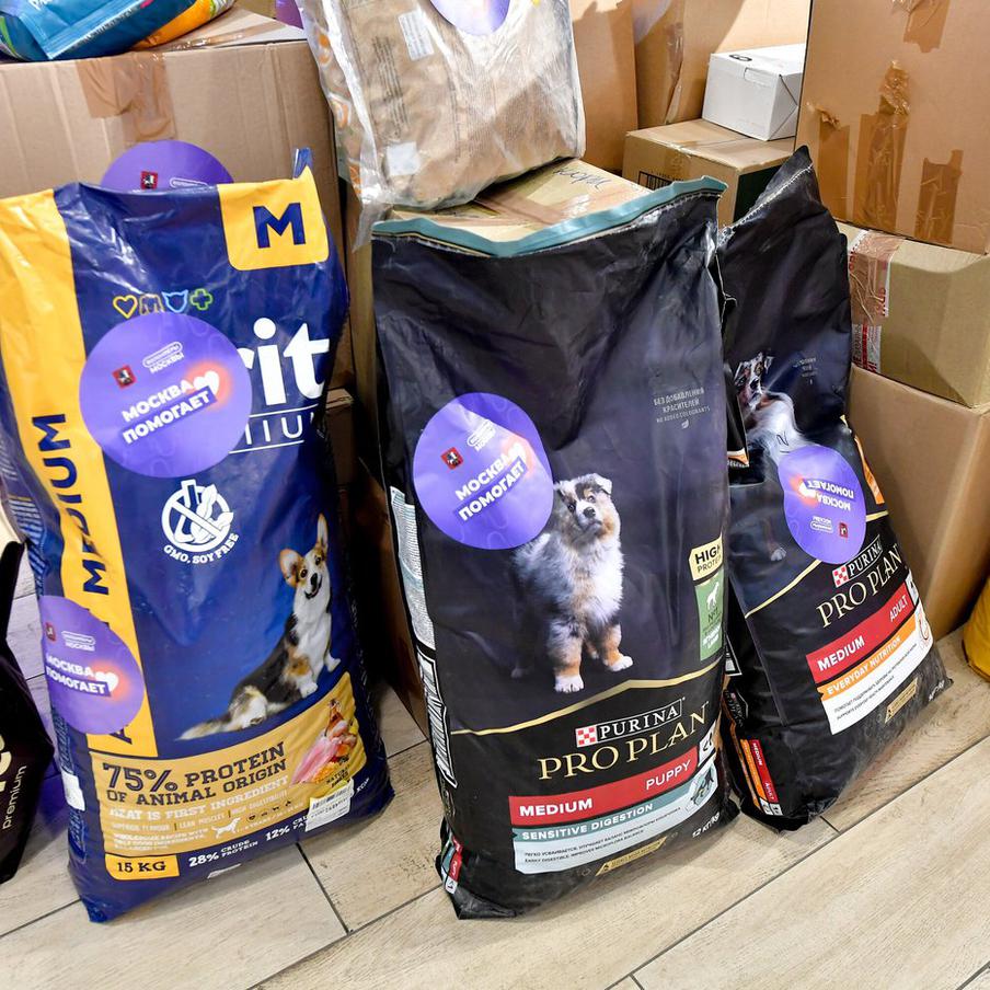 В Зюзине собрали специальную помощь для поддержки животных в зоне СВО. В районе Зюзино Юго-Западного округа Москвы прошла благотворительная акция, посвящённая поддержке четвероногих помощников военнослужащих, участвующих в специальной военной операции