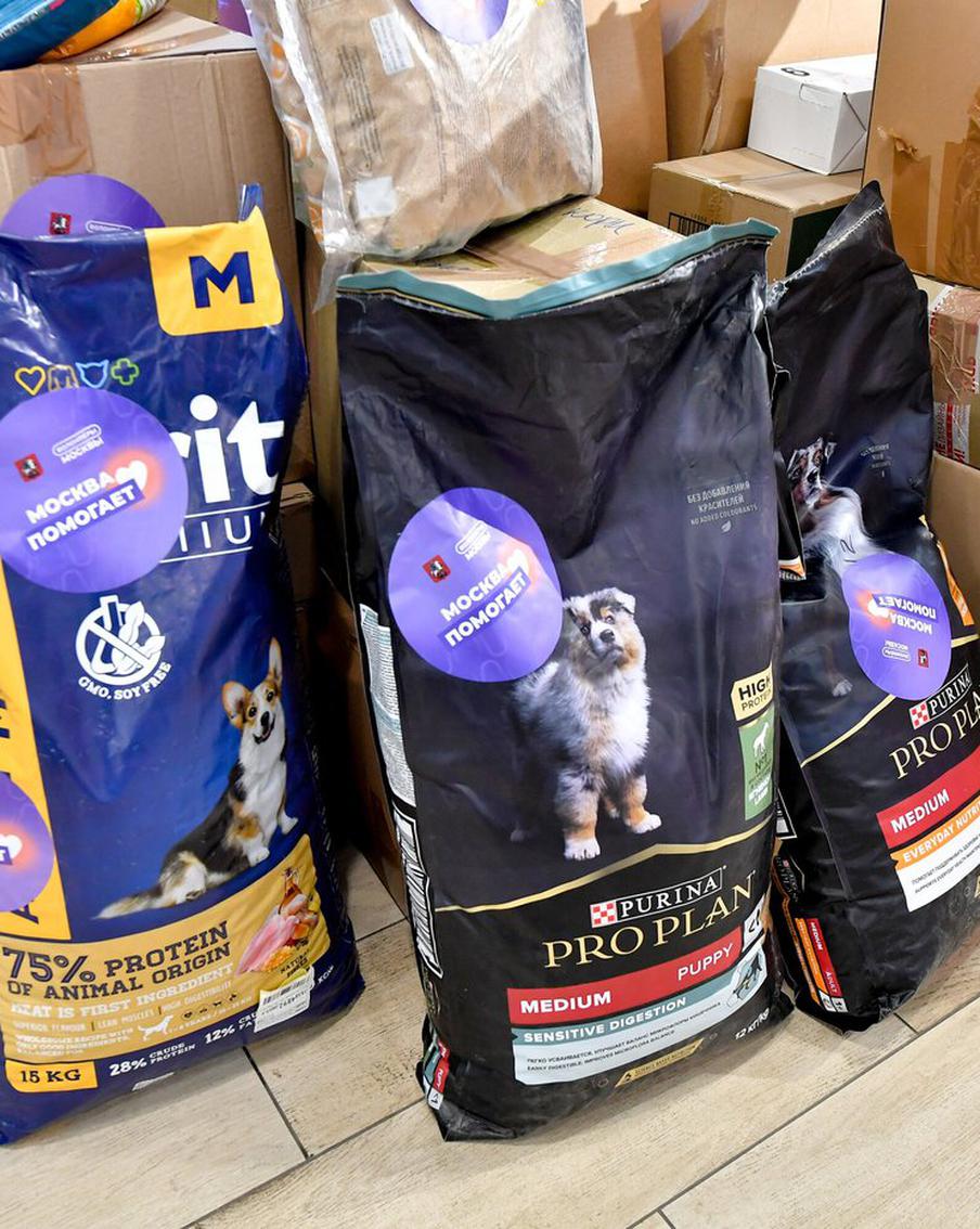 В Зюзине собрали специальную помощь для поддержки животных в зоне СВО. В районе Зюзино Юго-Западного округа Москвы прошла благотворительная акция, посвящённая поддержке четвероногих помощников военнослужащих, участвующих в специальной военной операции