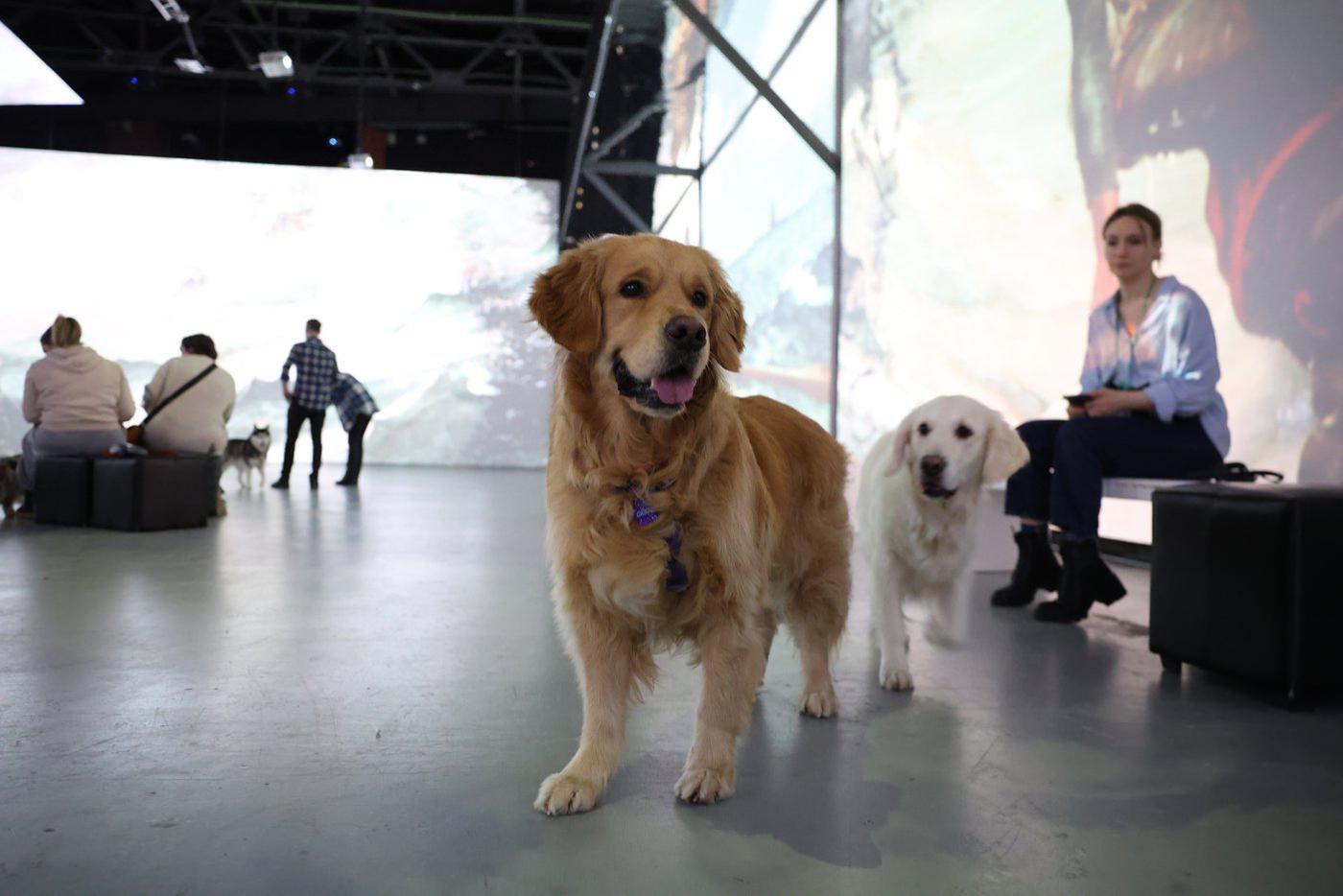 Ори быстро нашла себе компанию по инетересам.