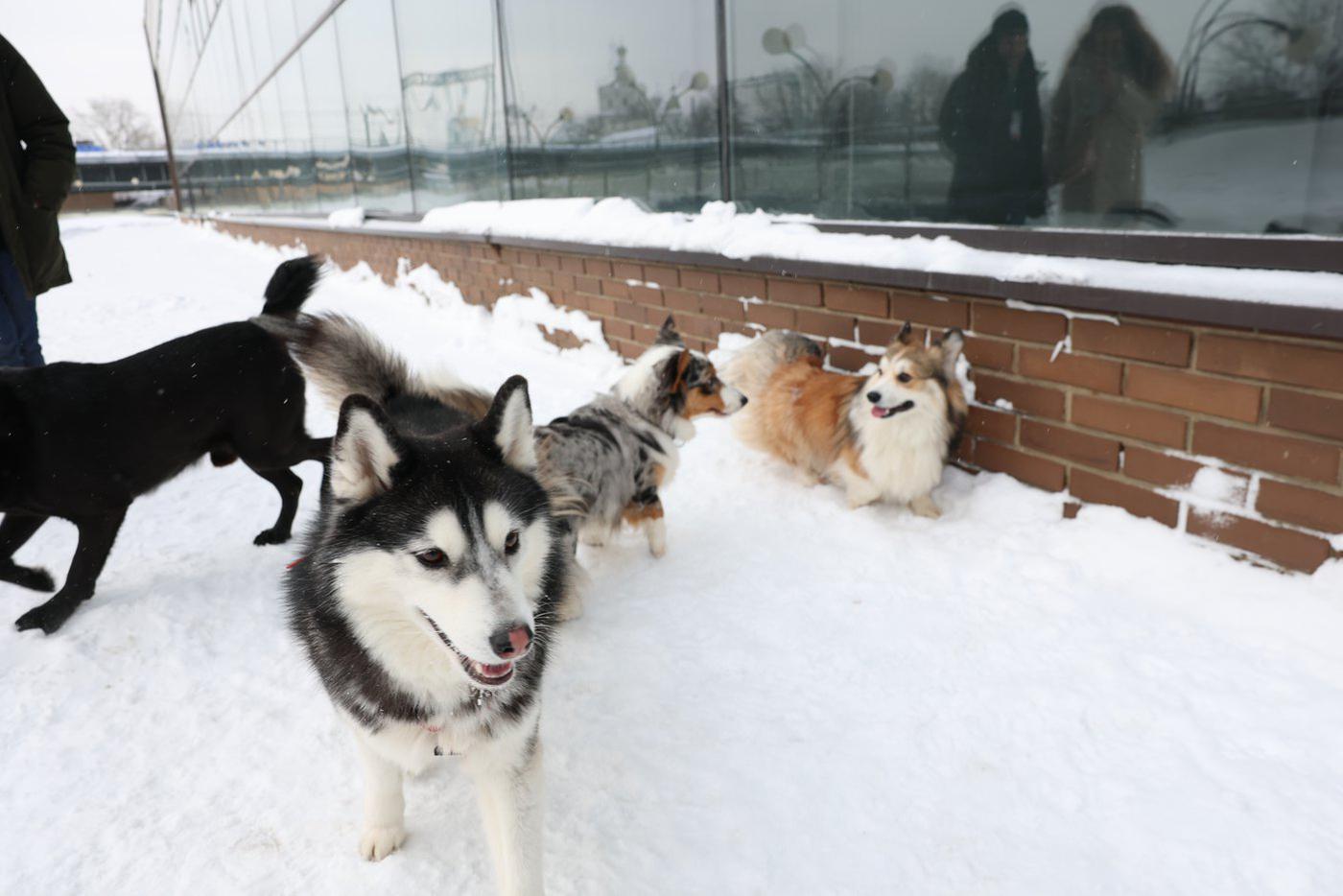 Время в перерыве проводили на улице.