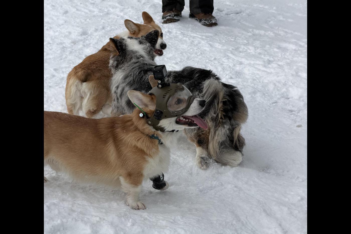 К метелям и вьюгам готов на 100%.