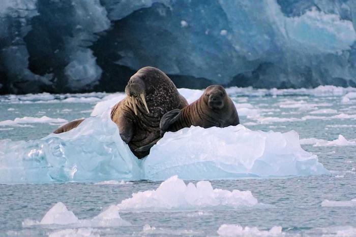На московских предприятиях внедряют новые экоприоритеты