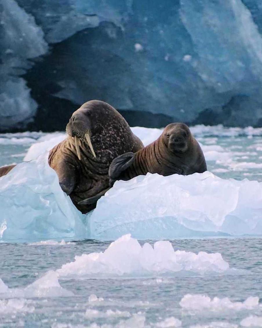 На московских предприятиях внедряют новые экоприоритеты