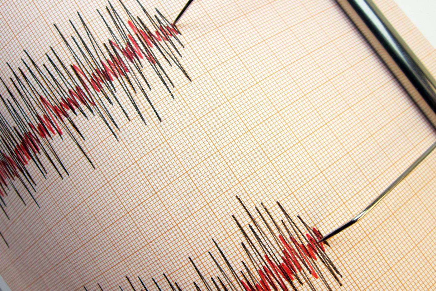 Жители Новороссийска и Анапы почувствовали землетрясение