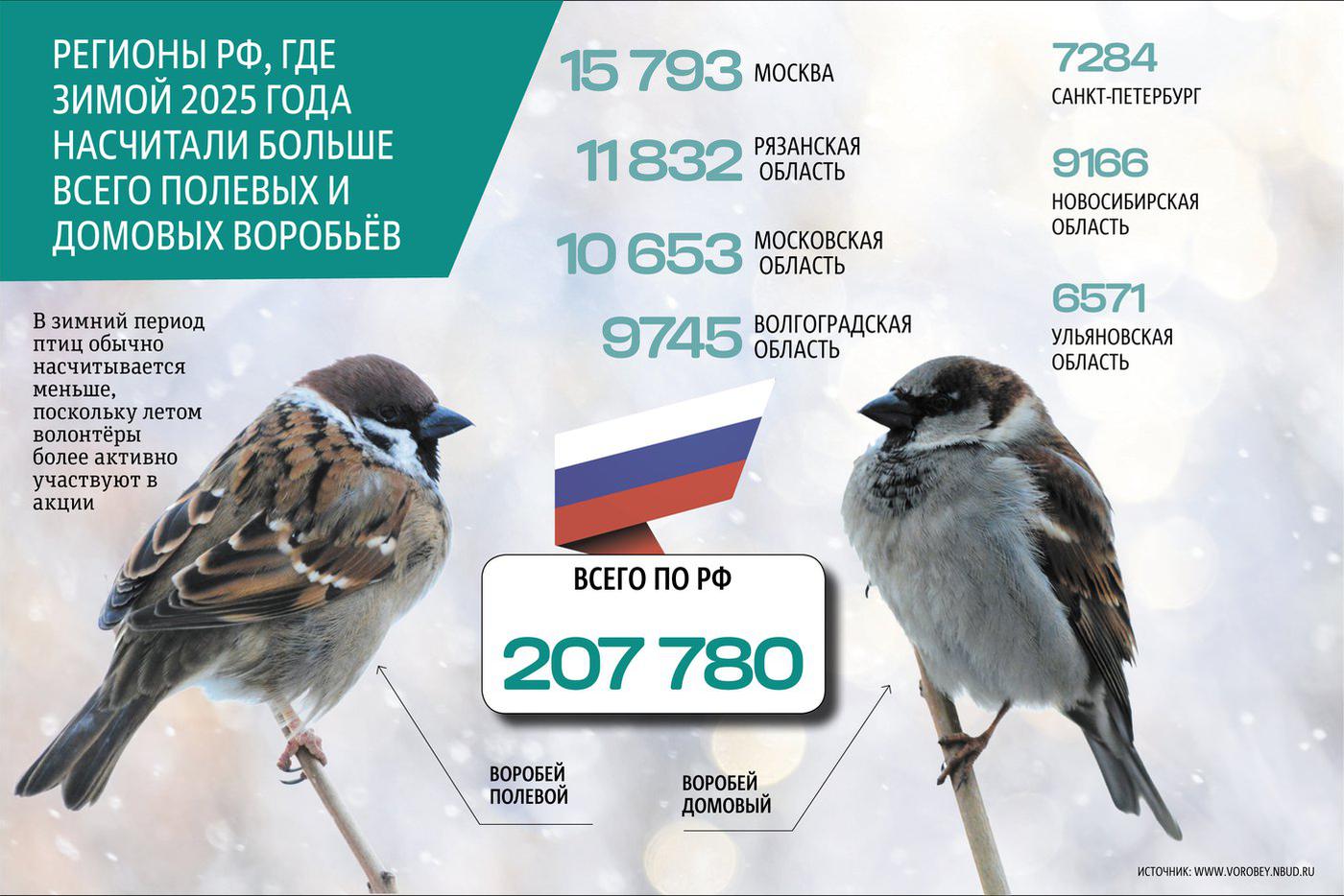 "Воробей, воробей. Не боишься ты людей!": зачем в России считают воробьёв