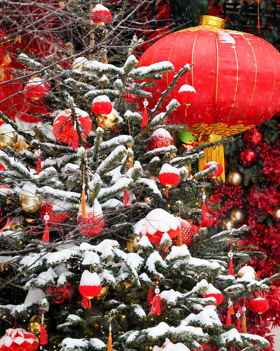 Синоптик предупредил москвичей о сильных ночных морозах на следующей неделе. Морозы до минус 20 градусов по ночам ожидают жителей столичного региона вплоть до середины следующей недели. Отмечается, что со среды москвичей ожидает потепление