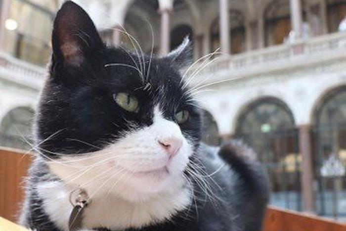 На Бермудских островах скончался бывший главный мышелов МИД Великобритании