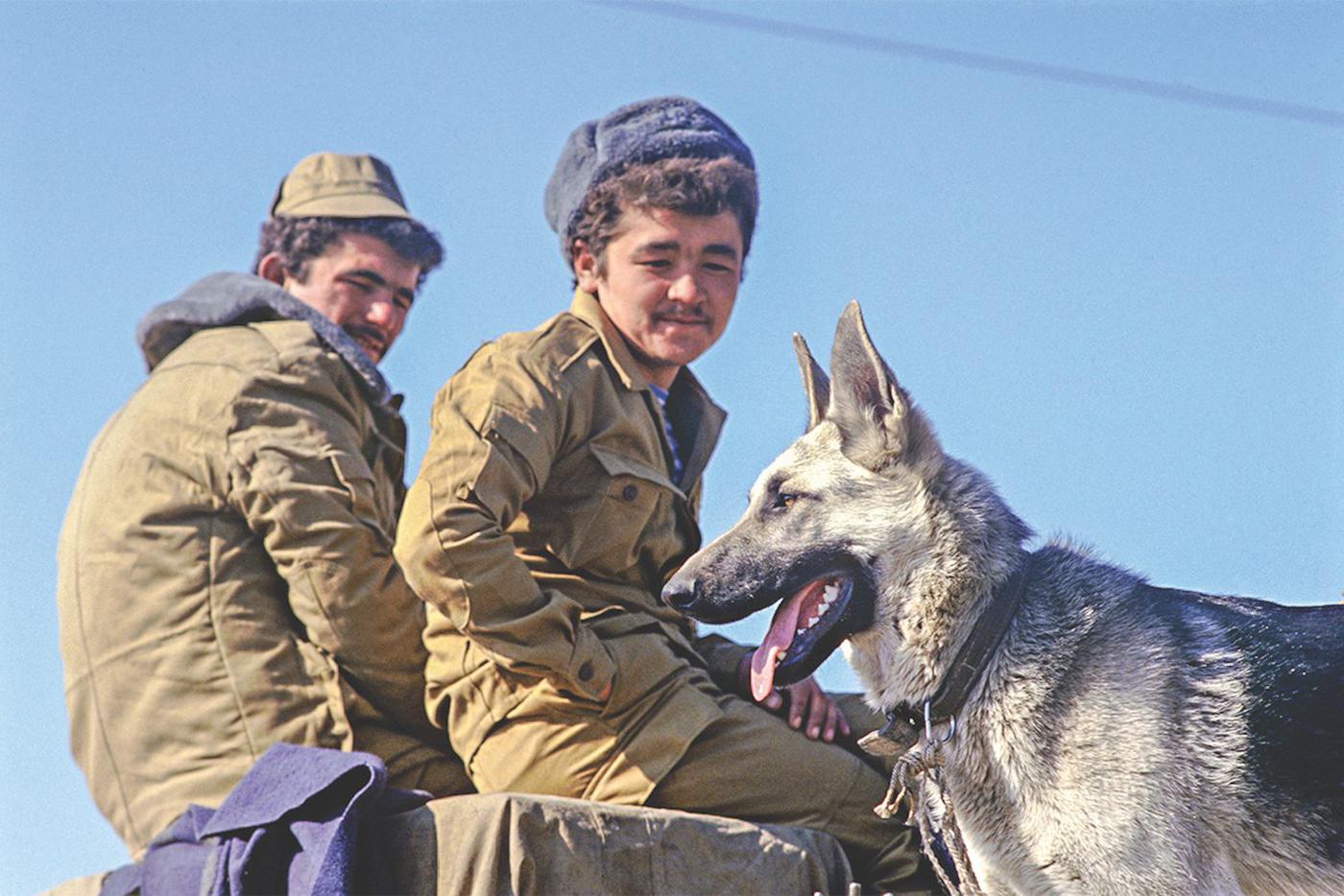 Собак-сапёров всегда берегли на войне.