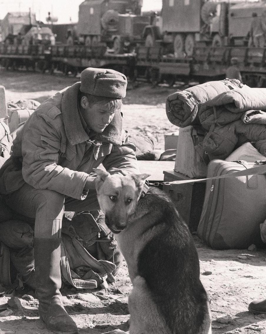 Боевые друзья.