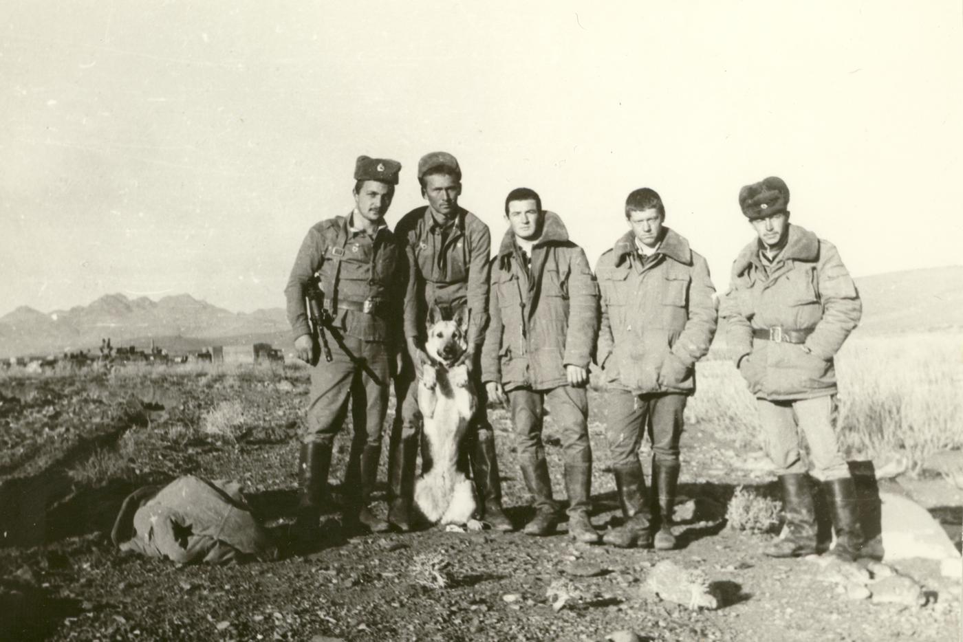 "Человек может предать, а собака – нет". Как немецкие овчарки помогали сапёрам в Афгане