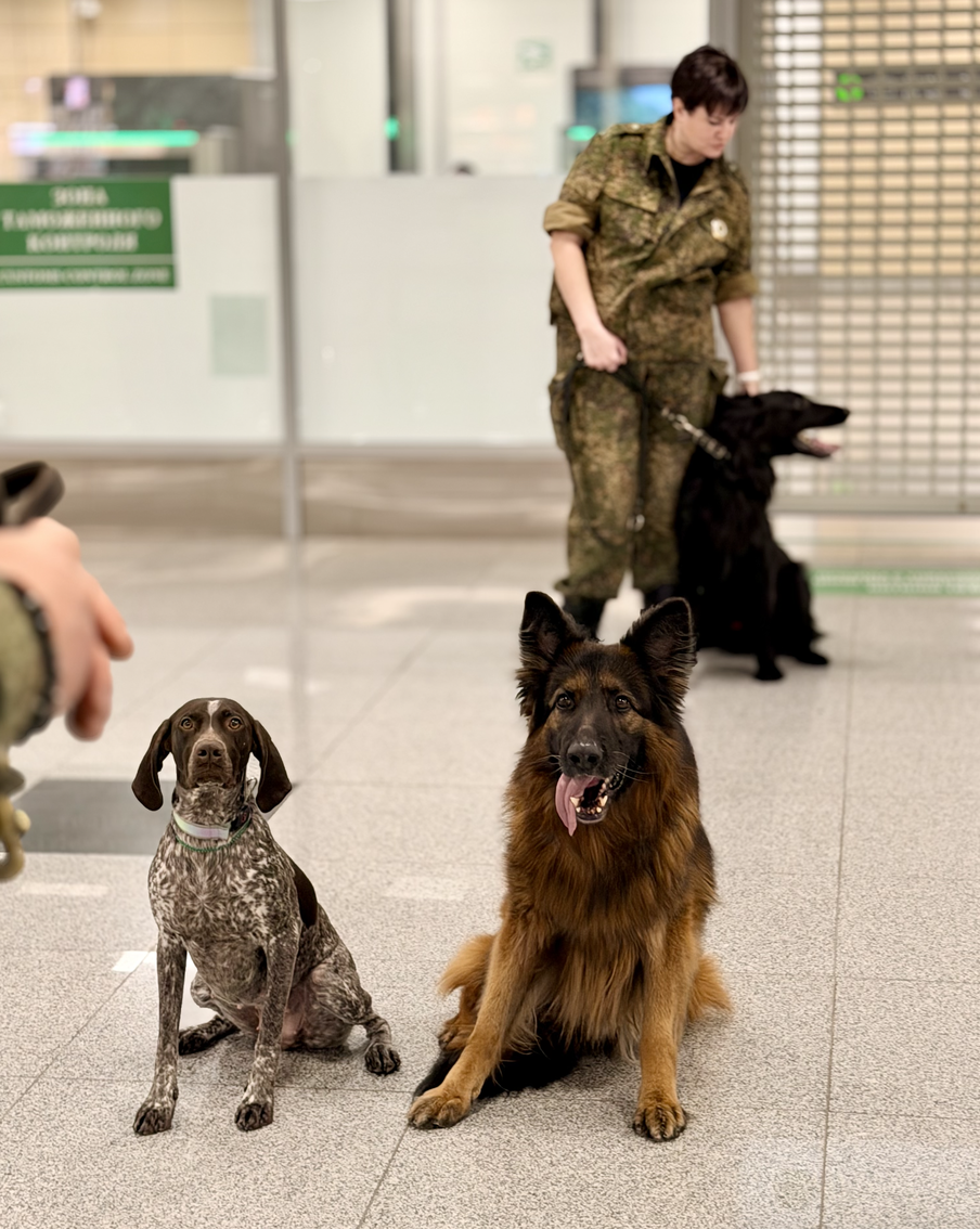 Терри – преемница Зевса – также присутствовала на церемонии.