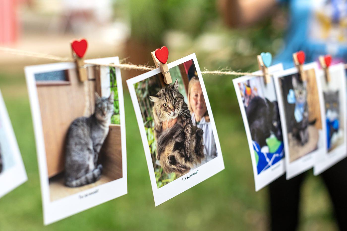"Активные граждане" предложат идеи для развития "Моспитомца" в новом голосовании