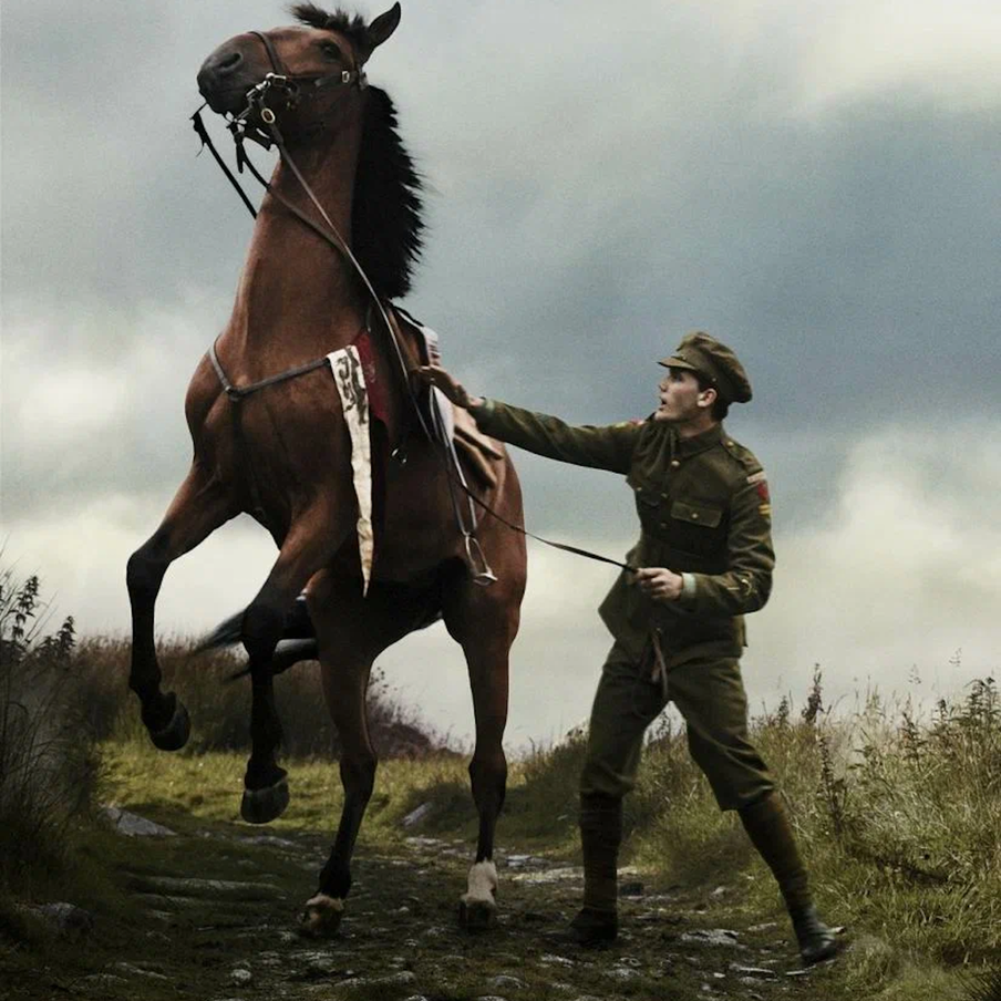 Боевой конь.