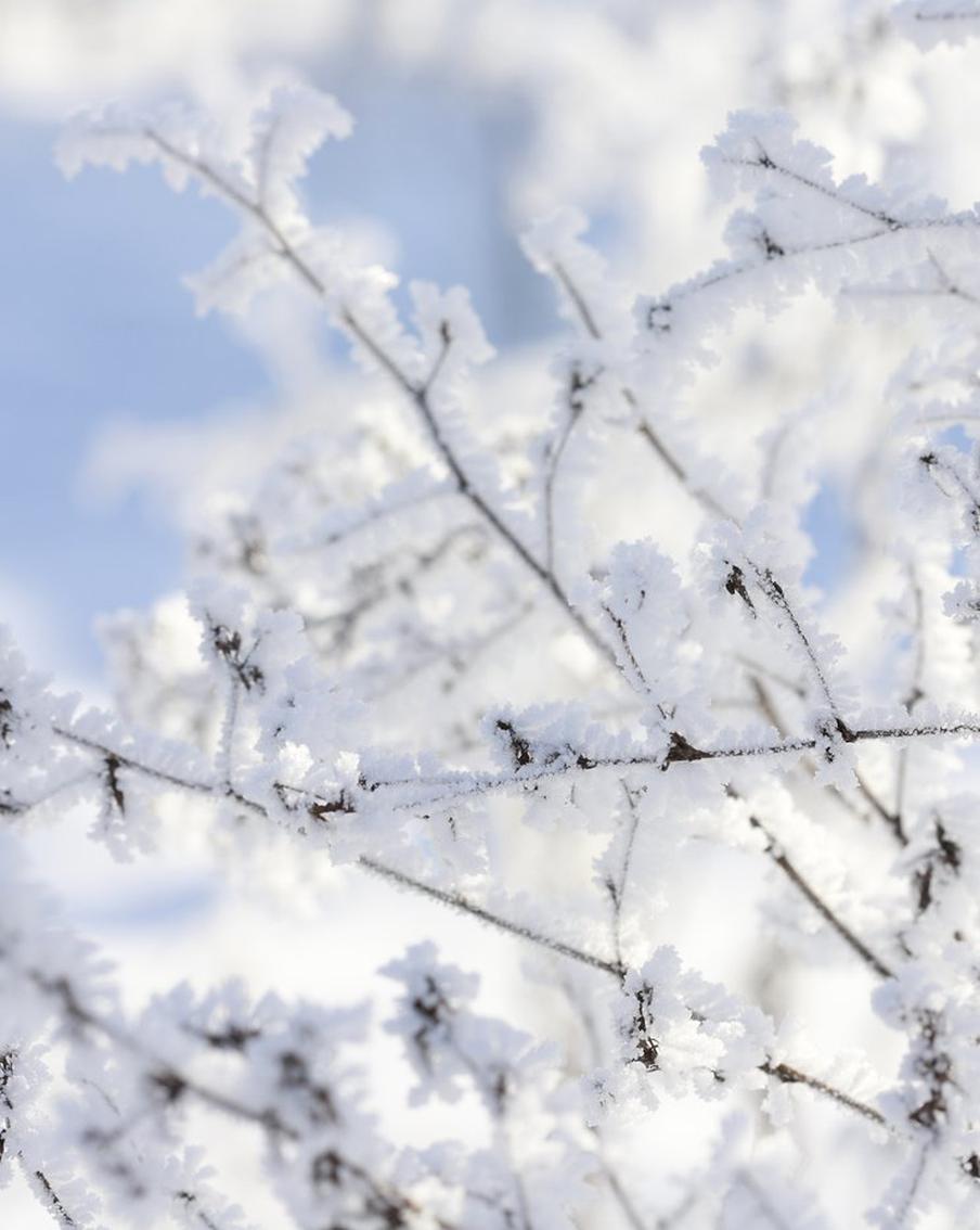 Тишковец рассказал о 30-градусных морозах в Подмосковье в ночь на среду. В Подмосковье стремительно похолодало. В ночь на среду столбик термометра опустился до рекордно низких значений. По информации ведущего специалиста центра погоды "Фобос" Евгения Тишковца, самая низкая температура воздуха была зафиксирована в Серебряных Прудах — -29,5 °C