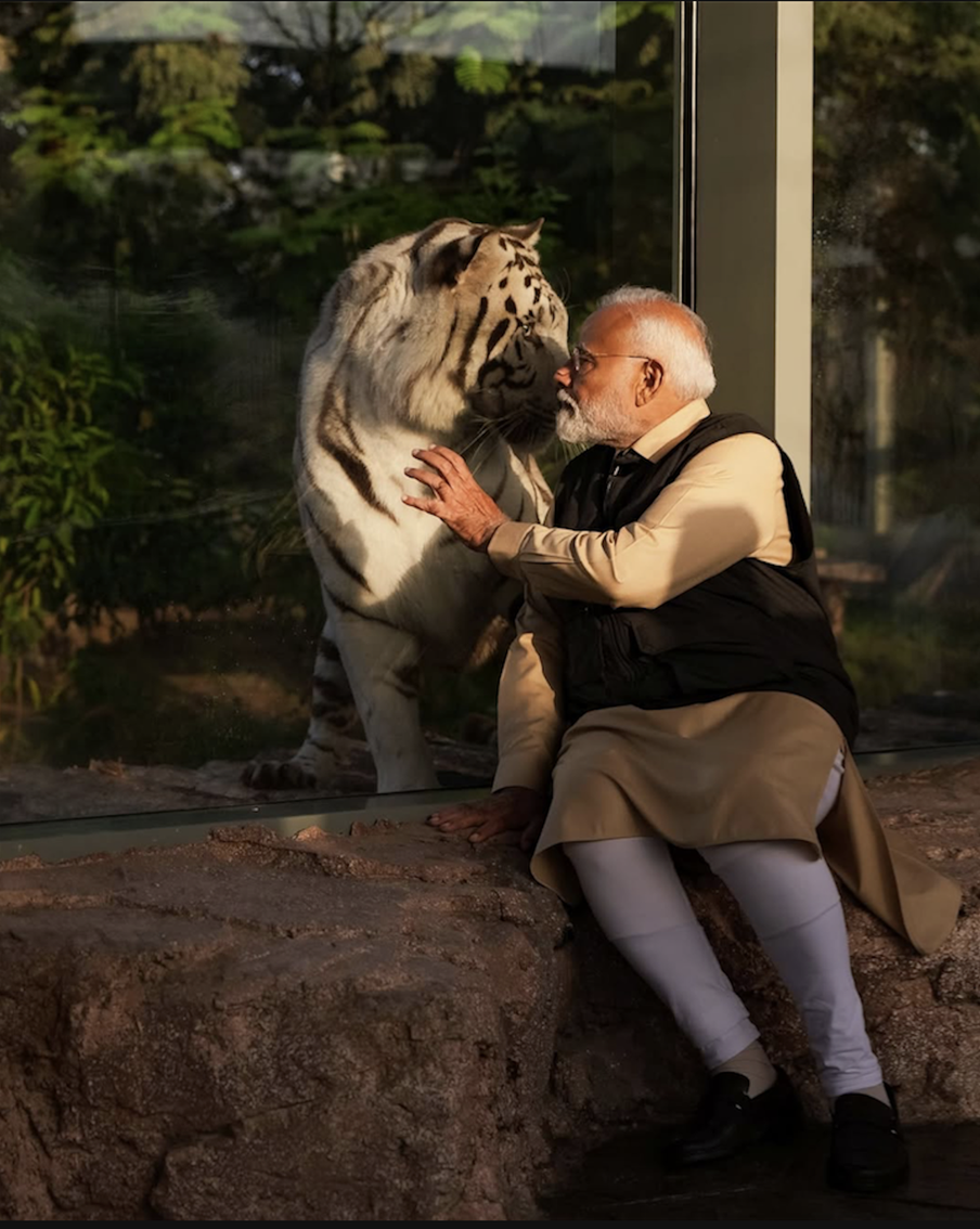 Эпичное фото Моди с тигром