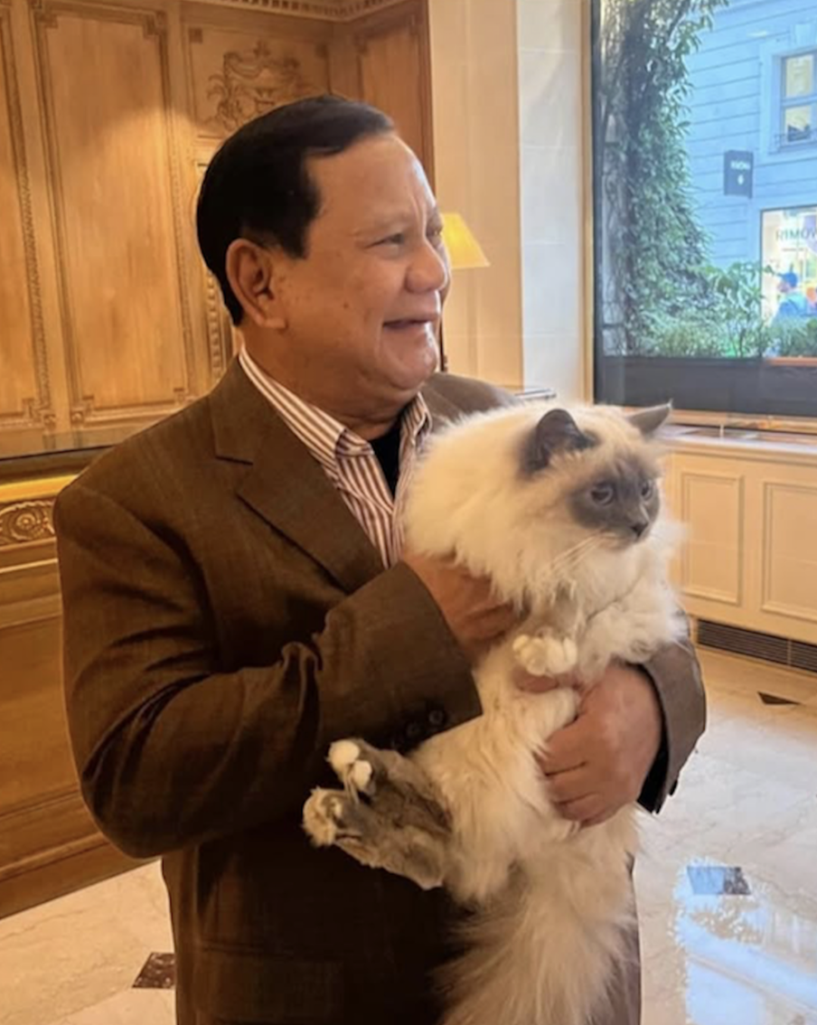 Президент Индлнезии очень любит котиков