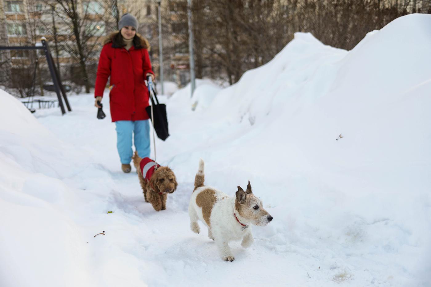 Москвичам рассказали, когда в столичном регионе начнут таять сугробы
