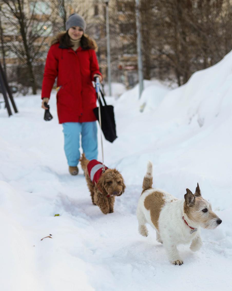 Москвичам рассказали о том, когда в столице растают рекордные сугробы. В ближайшие три дня выпавшие в Москве рекордные сугробы заметно уменьшатся в размере. Этому поспособствуют оттепель и прогнозируемые в эти выходные дожди