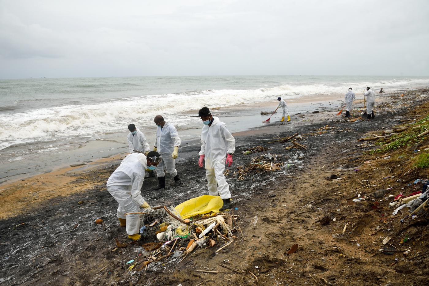 Российские учёные разъяснили, загрязнила ли нефть из Ормузского пролива пляжи Шри-Ланки