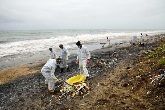 Российские учёные разъяснили, загрязнила ли нефть из Ормузского пролива пляжи Шри-Ланки