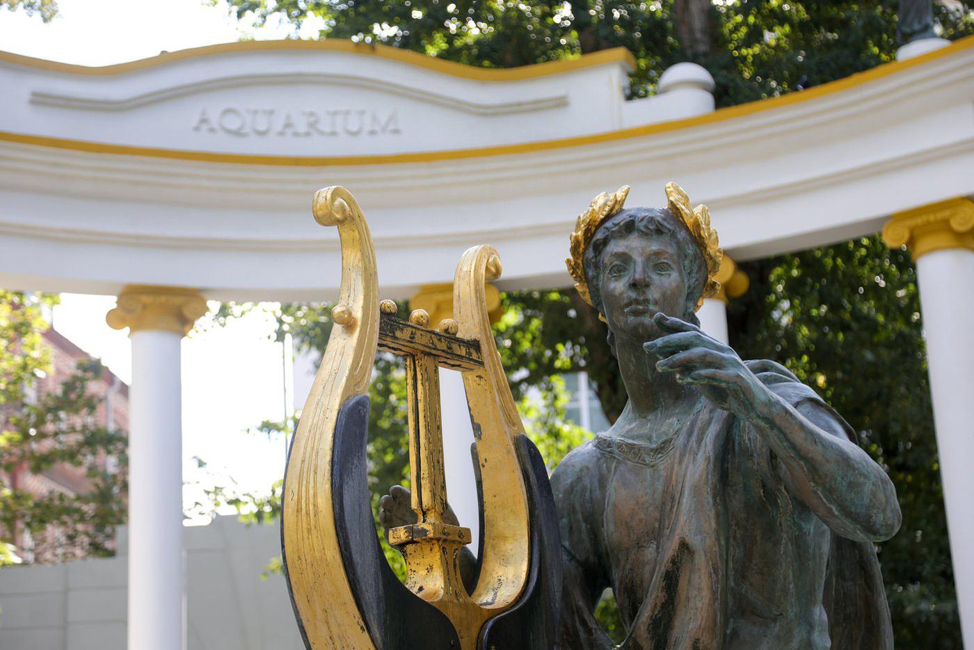 В саду "Аквариум".