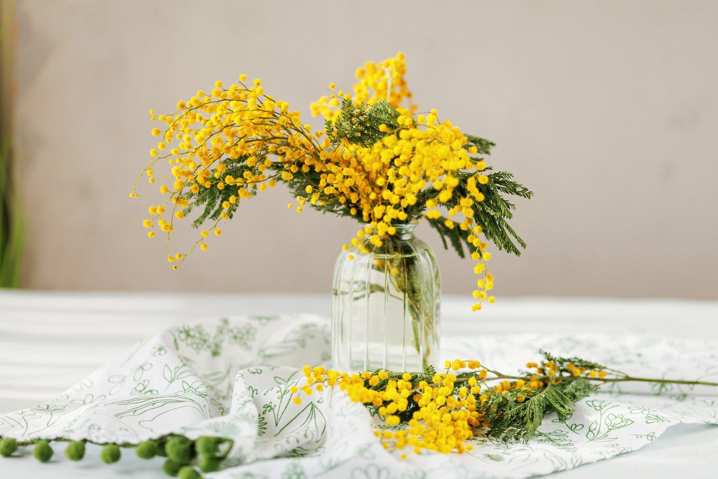 Аллерголог назвал цветы, которые лучше не дарить на 8 Марта