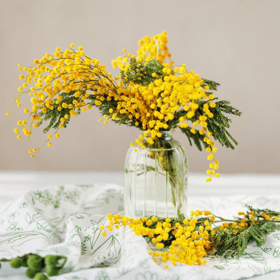 Аллерголог назвал цветы, которые лучше не дарить на 8 Марта. Некоторые популярные букеты могут спровоцировать аллергическую реакцию. Врач рассказал, какие цветы способны выделять пыльцу и вызвать неприятные симптомы у чувствительных людей