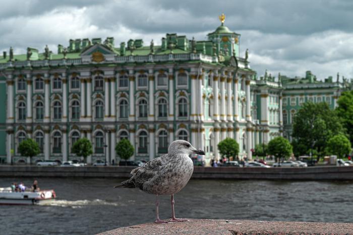 Суд взыскал с посетителя Эрмитажа 825 тысяч рублей после селфи на троне