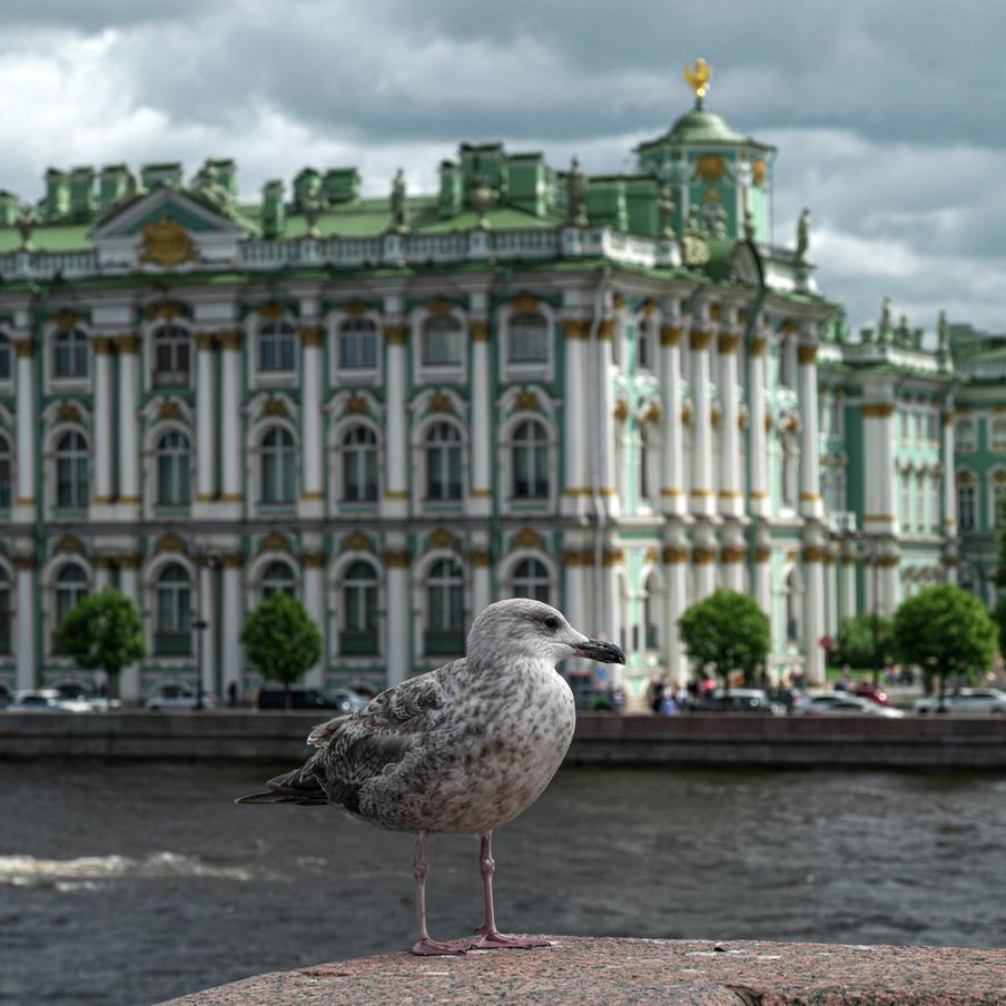 Суд обязал посетителя Эрмитажа выплатить 825 тысяч за повреждение трона. Посетитель Эрмитажа повредил трон магистра Мальтийского ордена, сделав селфи, и теперь должен оплатить реставрацию более чем на 825 тысяч рублей, сообщили в суде