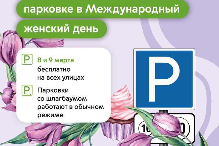 Ликсутов рассказал об отмене платы за парковку 8 и 9 марта в честь Международного женского дня
