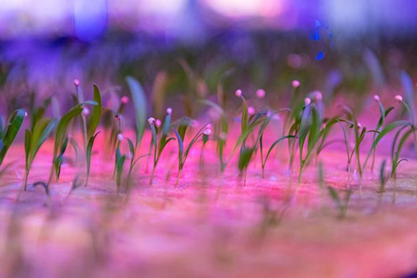 Афиша на 10 марта: придумываем свой сюжет и изучаем себя через пьесу