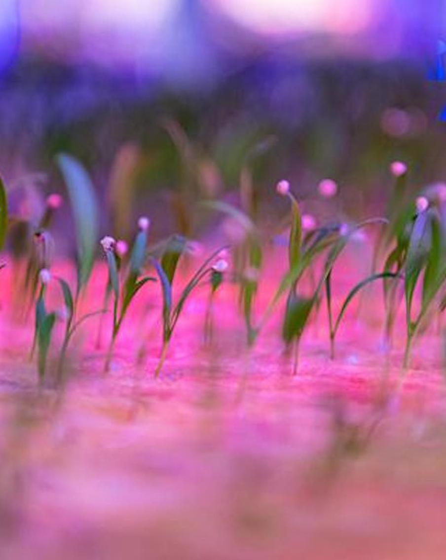 Афиша на 10 марта: придумываем свой сюжет и изучаем себя через пьесу