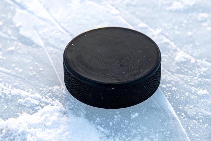 Российские игроки "Миннесоты" набрали 5 очков в матче НХЛ с "Ютой"